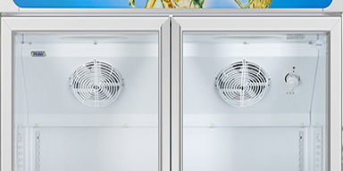 風(fēng)冷商用冰箱 風(fēng)冷商用冰箱